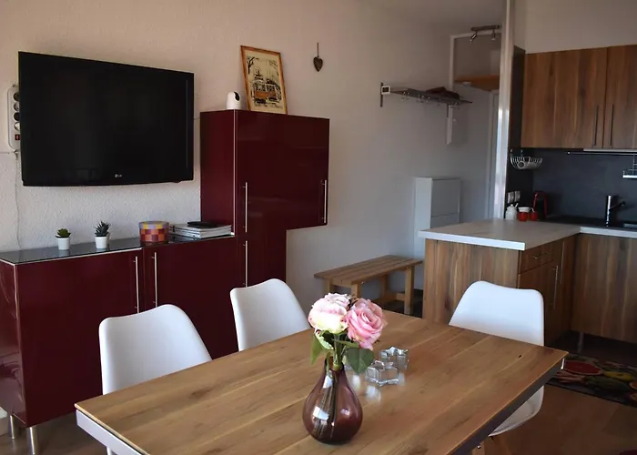 Appartamento T2 Sud à Font-romeu Avec Balcon Et Parking - Fr-1-580-108