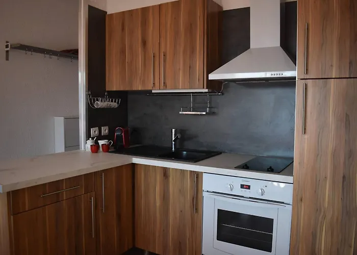 Appartamento T2 Sud à Font-romeu Avec Balcon Et Parking - Fr-1-580-108 *